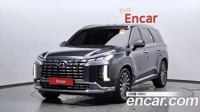 Hyundai Palisade Calligraphy