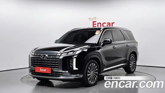 Hyundai Palisade VIP