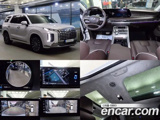 Hyundai Palisade Calligraphy