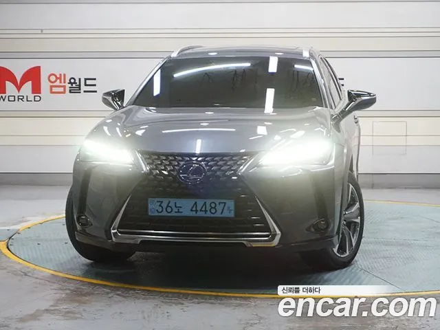 Lexus UX 2.0 2WD