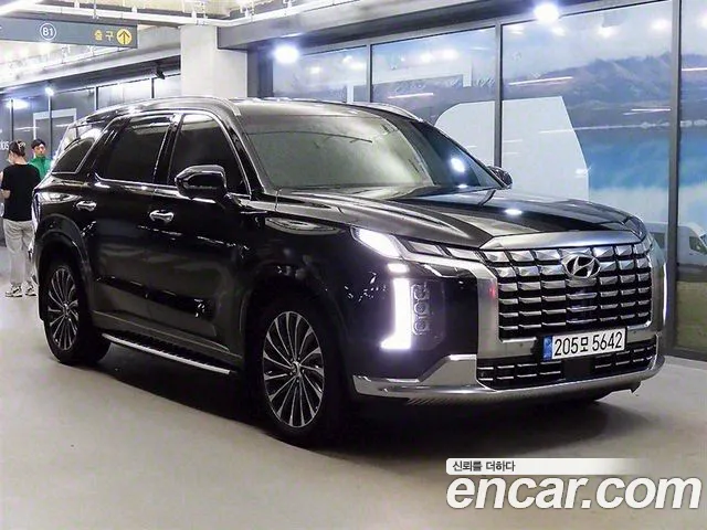 Hyundai Palisade Calligraphy