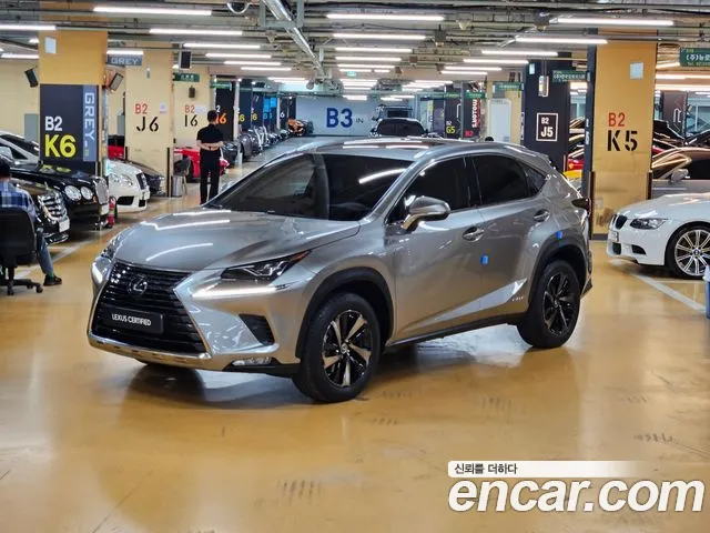 Lexus NX Executive