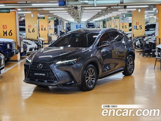 Lexus NX Premium