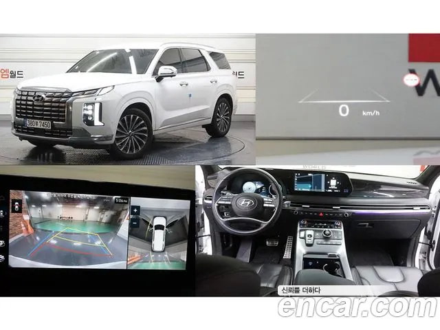 Hyundai Palisade Calligraphy