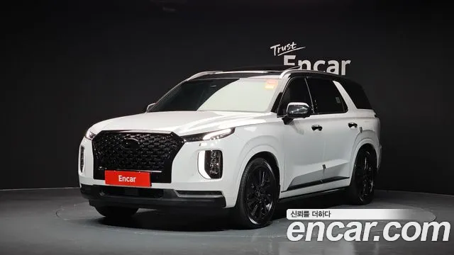 Hyundai Palisade Calligraphy