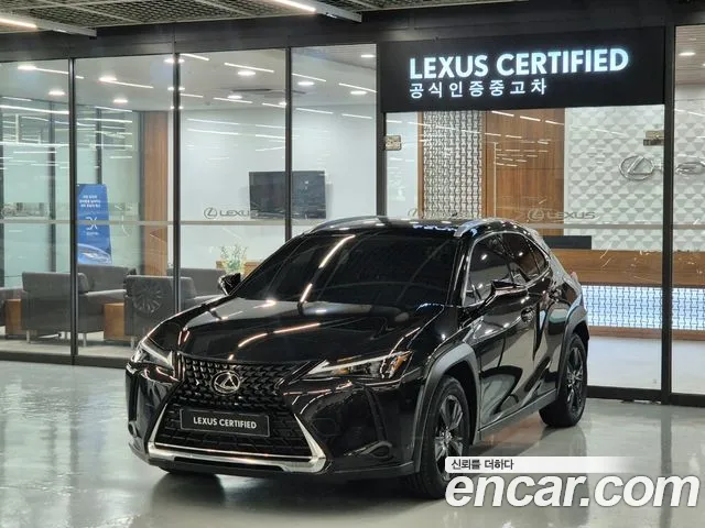 Lexus UX 2.0 2WD