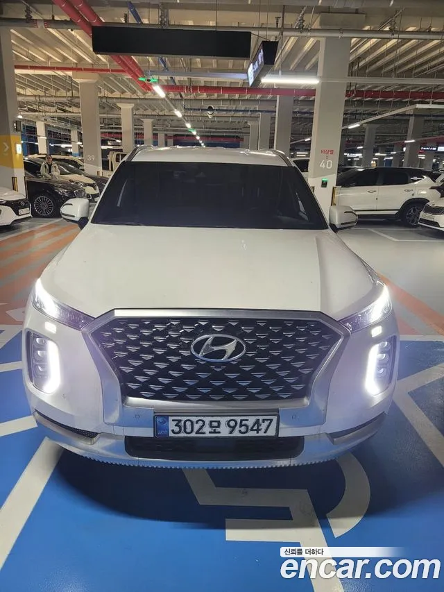 Hyundai Palisade Calligraphy