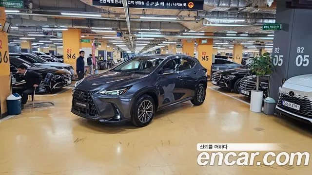 Lexus NX Premium