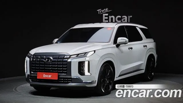 Hyundai Palisade VIP