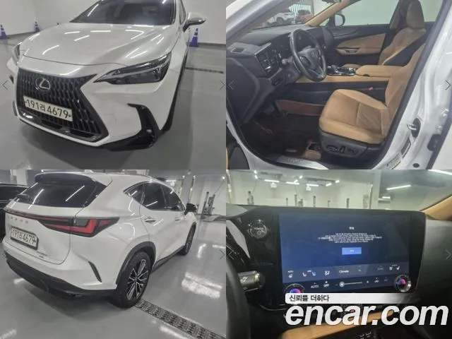 Lexus NX Luxury