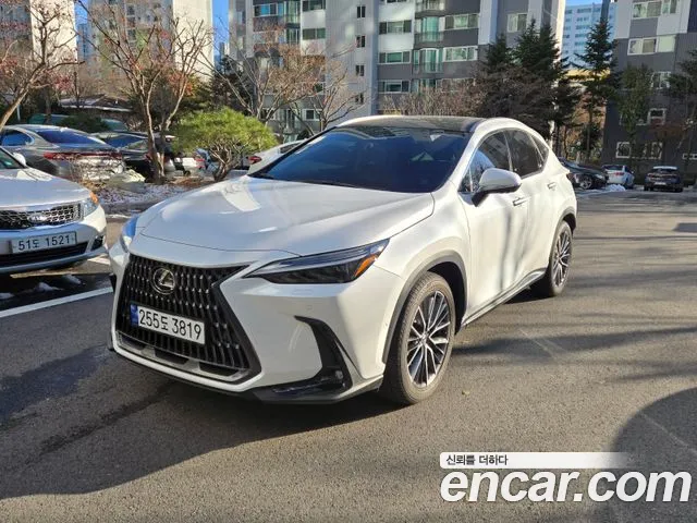 Lexus NX Luxury