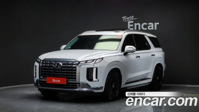 Hyundai Palisade VIP