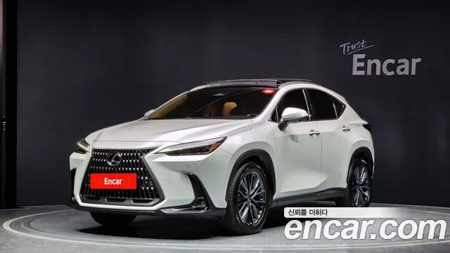 Lexus NX Luxury