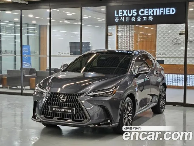 Lexus NX Luxury